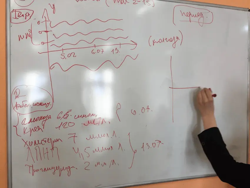 Этап аналитики. Формирование первичных гипотез | SobakaPav.ru